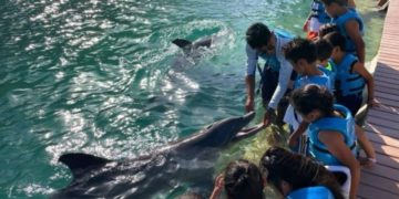 Secretaría de Educación de Quintana Roo y Delphinus concretan convenio en beneficio de alumnos de educación básica