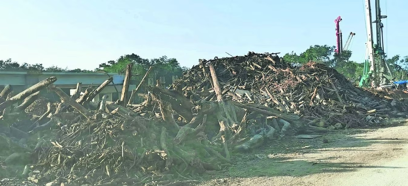 "Ríos de Concreto" invaden el acuífero maya