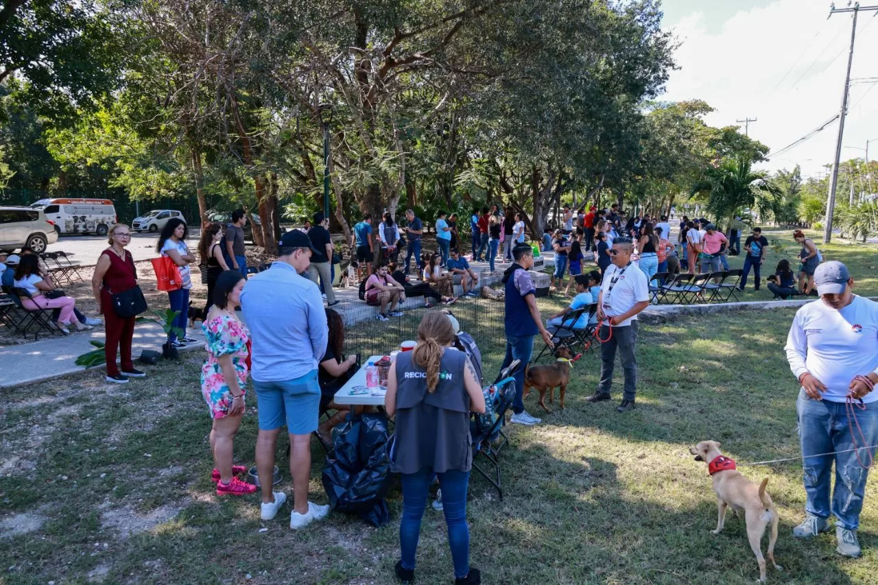 Exitosa campaña “AdoptaFest” en el emblemático Parque Kabah