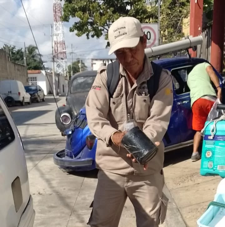 Intensifica SESA acciones preventivas contra el dengue