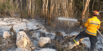 Solidaridad sin registro de incendios forestales hasta el momento
