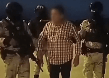 Las actividades de 'Don Rodo' en el CJNG