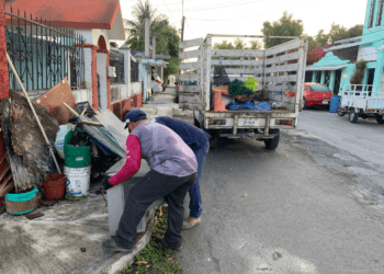 SESA pide no bajar la guardia contra el dengue