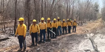 Esfuerzos conjuntos contra incendios en Quintana Roo