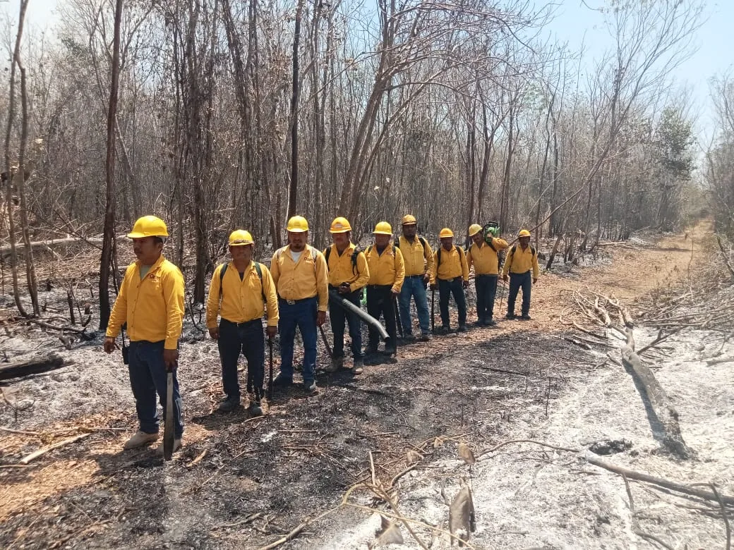 Esfuerzos conjuntos contra incendios en Quintana Roo