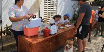 Continúa la jornada de vacunación antirrábica en Cancún