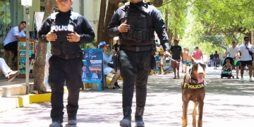 Solidaridad reporta saldo blanco durante vacaciones de semana santa