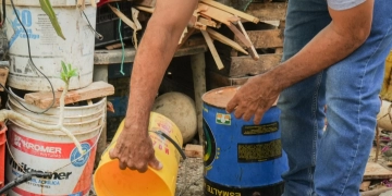 Un patio limpio es la mejor estrategia contra el dengue