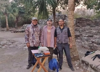 Realizan investigadores del IPN estudios en murciélagos de Cozumel