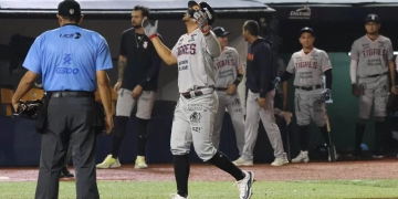 Tigres de Quintana Roo