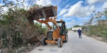 'Manos a la obra' para prevención del dengue en Solidaridad