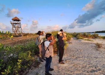 FPMC da continuidad al Programa de Monitoreo de Aves en Punta Sur