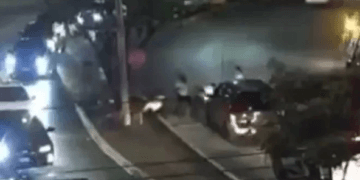 Destituyen a policía de tránsito tras riña con conductor ebrio