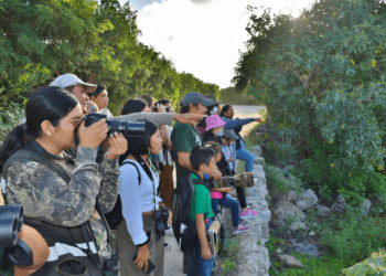 Invita FPMC a toda la comunidad a celebrar el “Día Mundial de las Aves Migratorias”