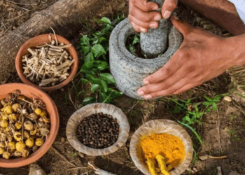 Medicina Tradicional Indígena: un puente entre tradiciones y modernidad