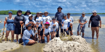 Estudiantes de la UQROO realizan visita al manglar en el Parque Punta Sur
