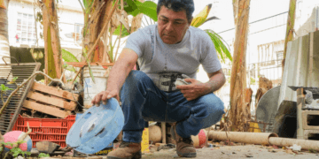 Intensifica SESA acciones para eliminar criaderos de moscos