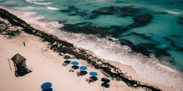 Acuerdo Solidario para combatir el sargazo en el Caribe Mexicano