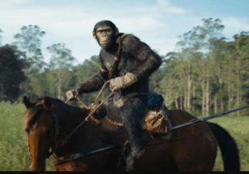 El declive del imperio simio