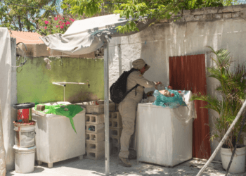 Limpieza del hogar, la medida más efectiva contra el dengue