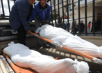 Trágica realidad en Gaza: OMS verifica 35.000 muertes