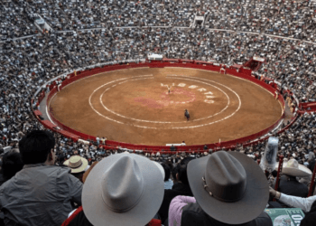 El Tribunal revoca la suspensión y las corridas de toros continúan en la Plaza México