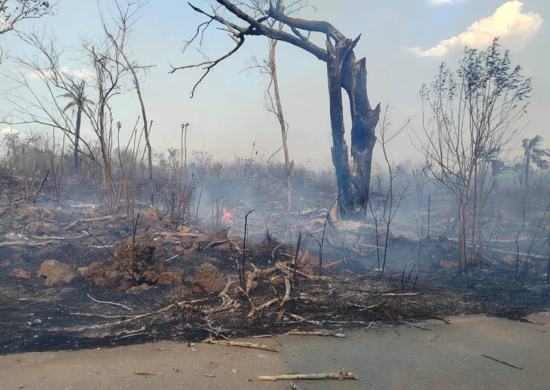 Incendios forestales en Quintana Roo afectan más de 7 mil hectáreas