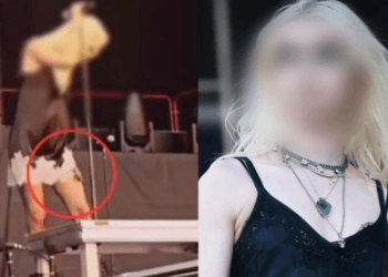 La cantante Taylor Momsen es atacada por un murciélago en pleno concierto