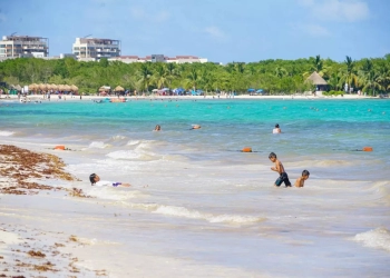 Termómetro del sargazo: disfruta de las playas este fin de semana