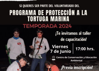 Convoca FPMC a ser parte del Programa de Protección a la Tortuga Marina