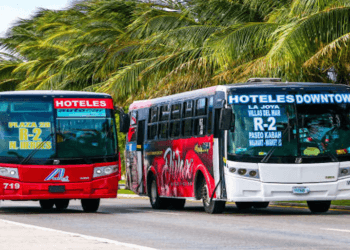 Alertan sobre acosador en transporte público