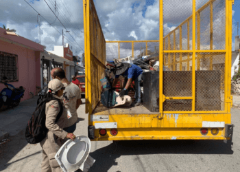 Medidas efectivas contra el dengue con apoyo ciudadano