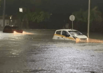 Chetumal se prepara para las lluvias con trabajos de limpieza y desazolve