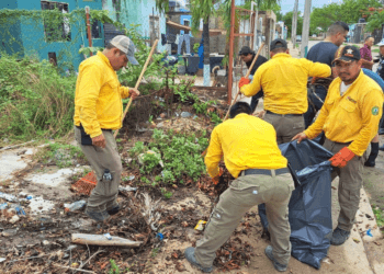 Apoyo de brigadistas forestales en Chetumal ante inundaciones