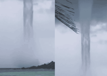 Captan tromba marina en las costas de Calderitas