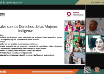 Conmemoran Día Naranja con panel sobre “Derechos de las Mujeres Indígenas”