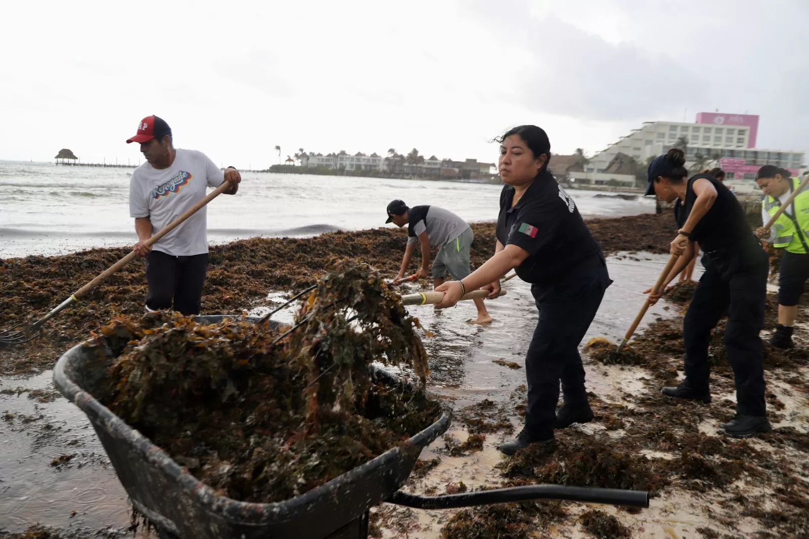 Isla Mujeres no baja la guardia ante el recale atípico de sargazo