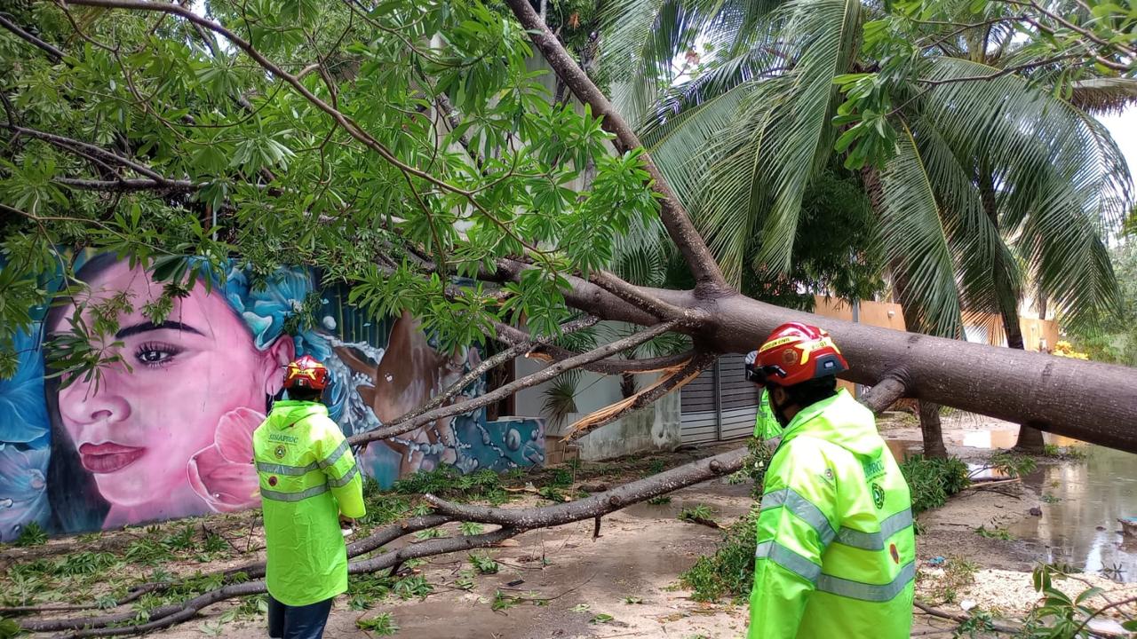 Solidaridad refuerza operativos de limpieza por lluvias