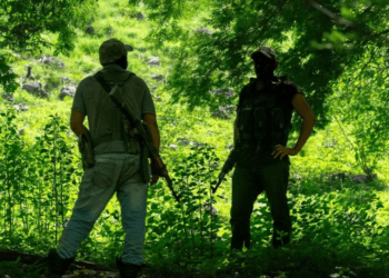 Cárteles Mexicanos negocian armas por estrategias criminales con Ecuador