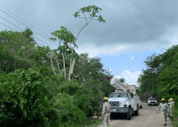 CFE se encuentra preparada para hacer frente a 'Beryl'