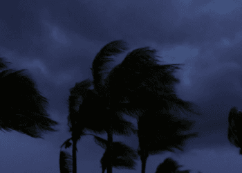 Beryl deja a varios municipios de Yucatán sin energía eléctrica