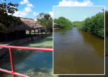 Sistema de Bacalar continúa presentando cambios de coloración