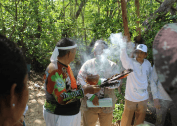 Reforestación y saneamiento en la Laguna Manatí por el Día Internacional de los Manglares