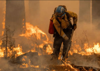 Incendios forestales en el oeste de EE. UU.