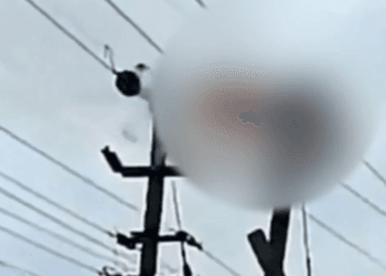 Electricista de India muere de manera trágica al recibir una descarga de 11,000 voltios