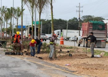 Carretera Federal 307 se embellece con reforestación y colaboración empresarial