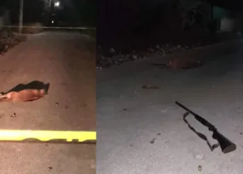 Sujeto en estado de ebriedad es detenido por asesinar a perrita embarazada en Yucatán