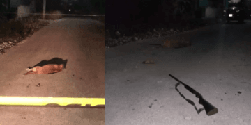 Sujeto en estado de ebriedad es detenido por asesinar a perrita embarazada en Yucatán