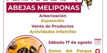 Anuncian "Feria de las Abejas Meliponas" en Othón P. Blanco