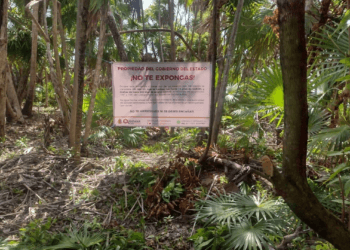 AGEPRO protege el patrimonio de las y los quintanarroenses en Costa Maya